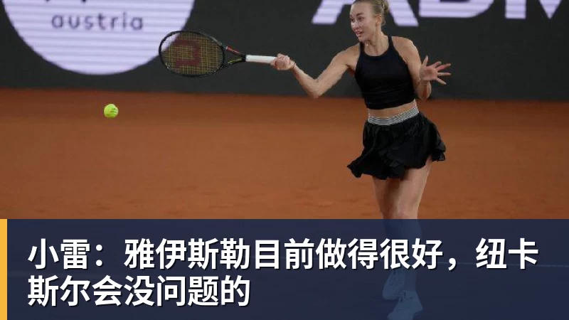 小雷：雅伊斯勒目前做得很好，纽卡斯尔会没问题的