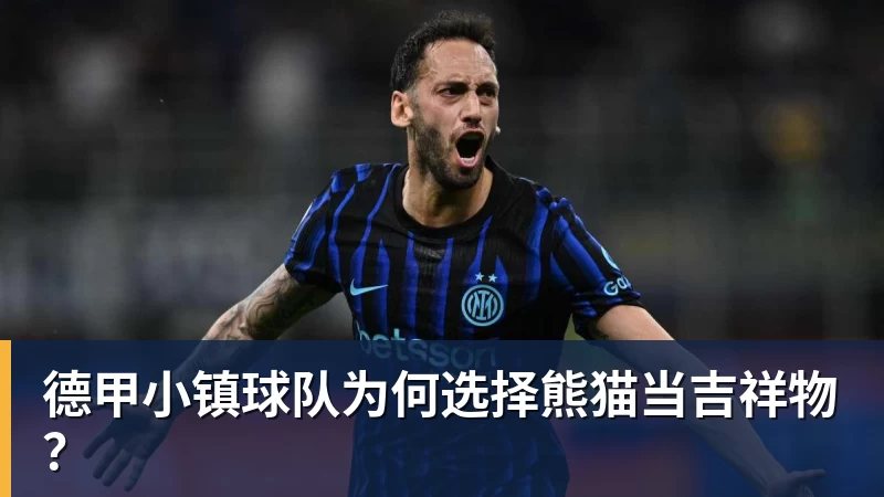 德甲小镇球队为何选择熊猫当吉祥物？